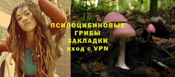 тгк Балахна