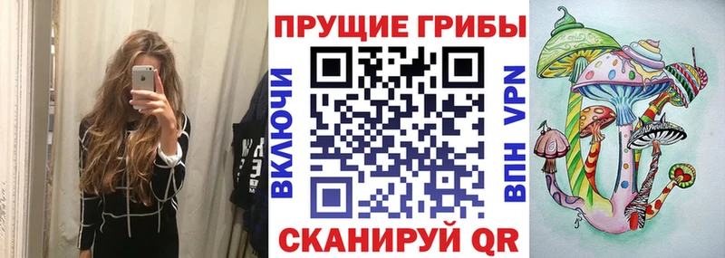 цена наркотик  Лахденпохья  OMG рабочий сайт  Псилоцибиновые грибы прущие грибы 