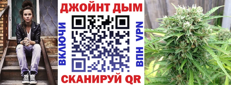 наркотики  Лахденпохья  Канабис индика 